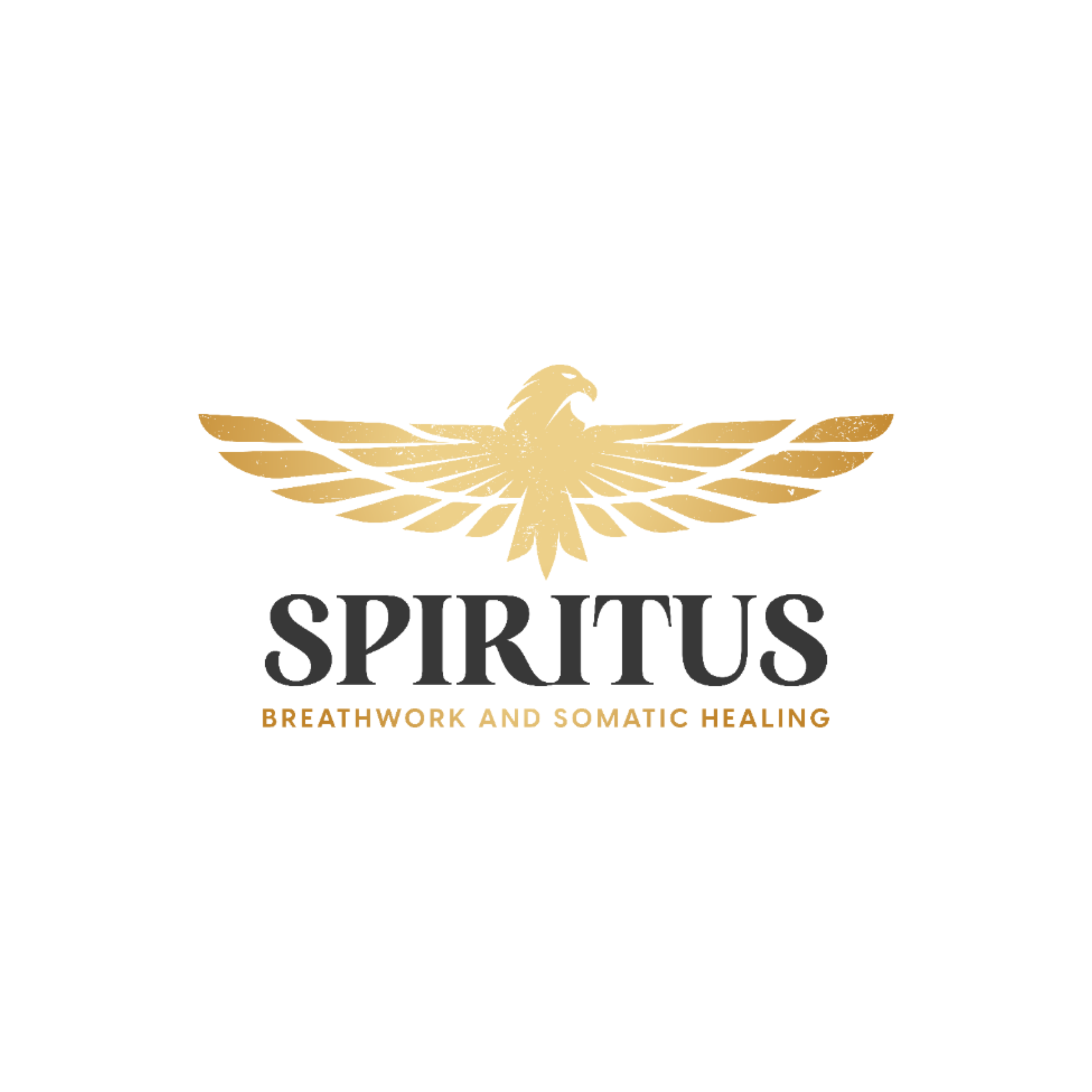 Transformation Package (4-Sessions)